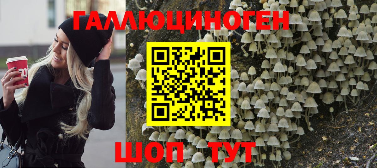 Псилоцибиновые грибы Magic Shrooms  Псилоцибиновые грибы Cubensis  Набережные Челны  Вход с VPN 
